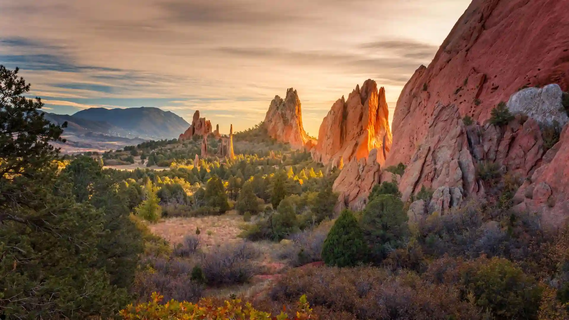Colorado Web Impressions - Colorado Digital Marketing Agency