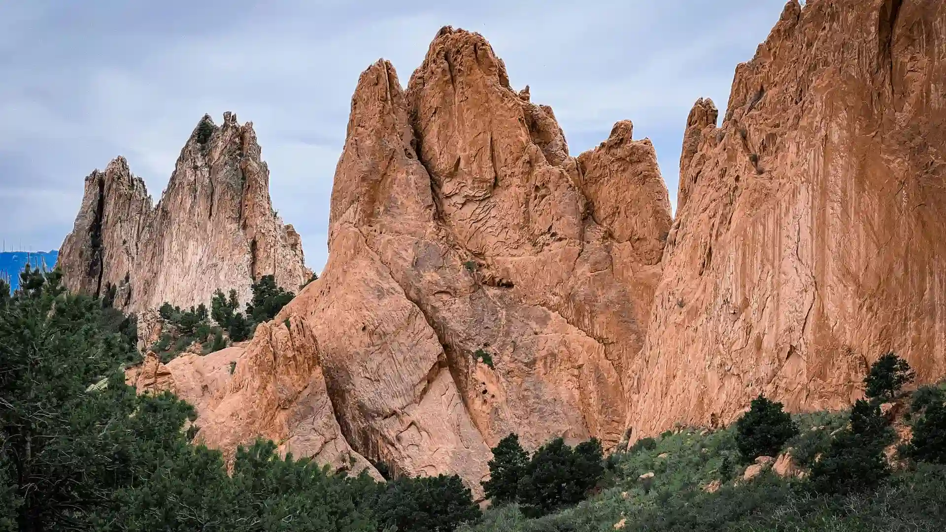about colorado web impressions