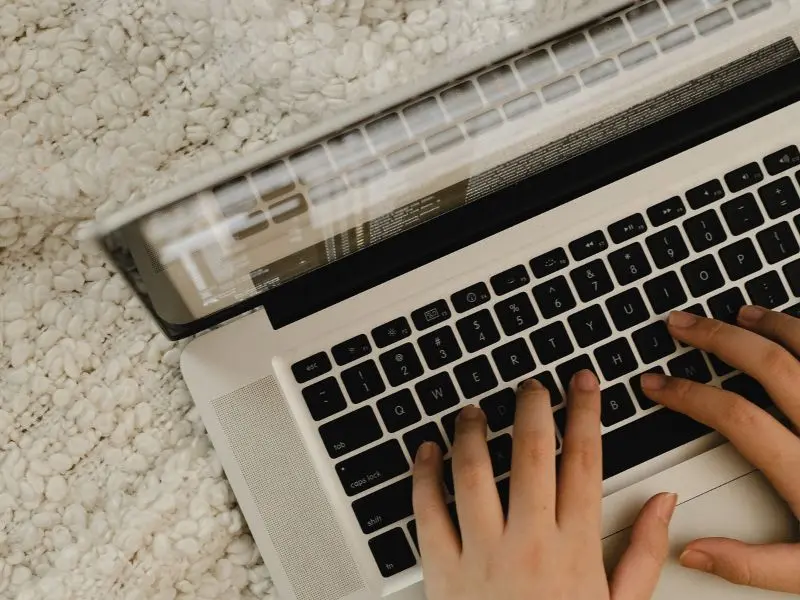 ad optimization for small businesses in colorado