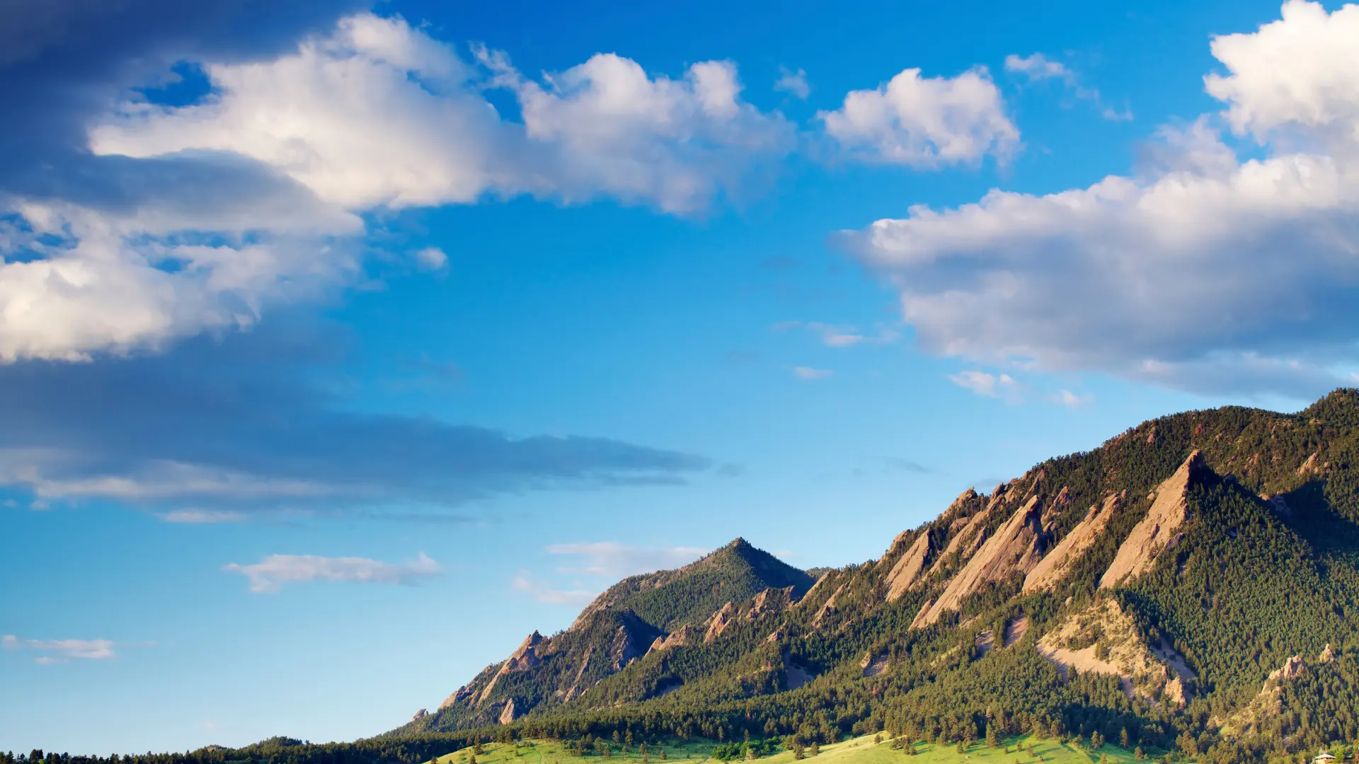 boulder marketing company