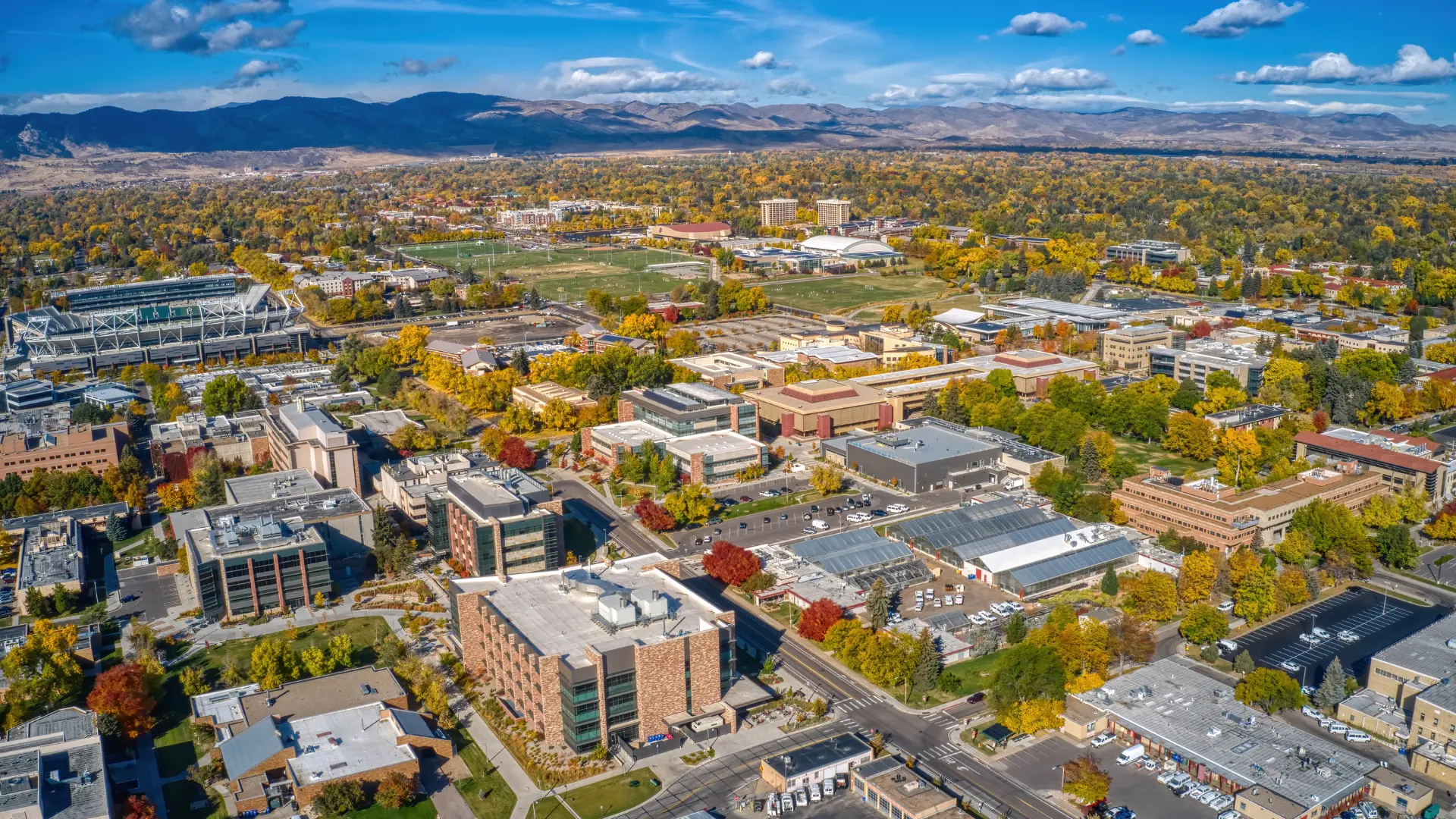 fort collins marketing company