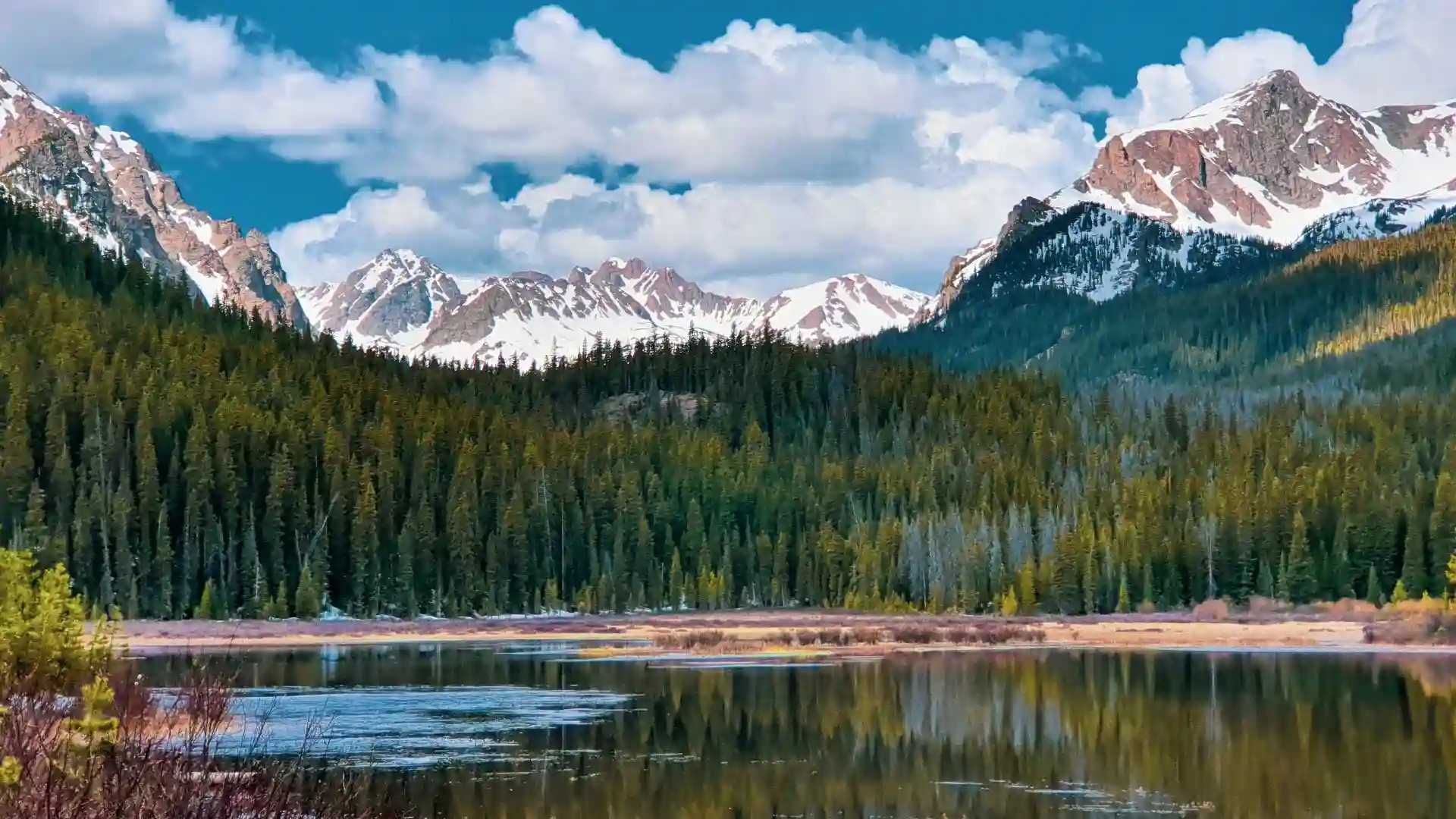 Snowy mountains with forest and lake reflection